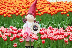 Taipei: Guided Cherry Blossom Day Tour