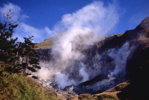 台北：陽明山、故宮博物院、饒河のガイド付きツアーをご案内いたします