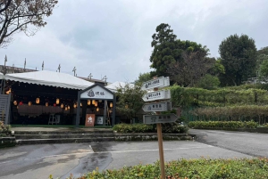 台北：陽明山、故宮博物院、饒河のガイド付きツアーをご案内いたします