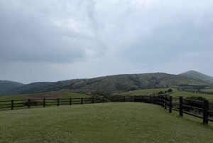 台北：陽明山、故宮博物院、饒河のガイド付きツアーをご案内いたします