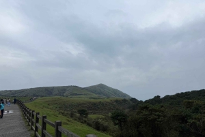 台北：陽明山、故宮博物院、饒河のガイド付きツアーをご案内いたします