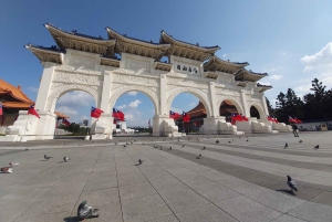 Taipei: Private 5-Hour Layover Tour from TPE Airport