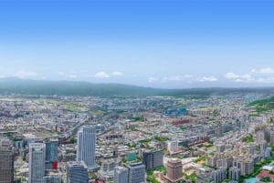 Taipé: Ingresso para Plataforma de Observação do Taipei 101