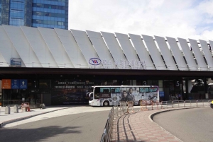 Taipei: trasferimento in autobus di ritorno dall'aeroporto di Taoyuan (TPE).