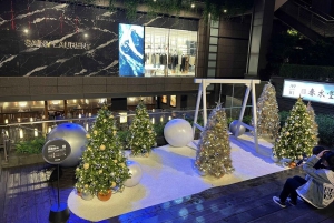 Taipei: Walking Christmas Photography and Shopping Tour