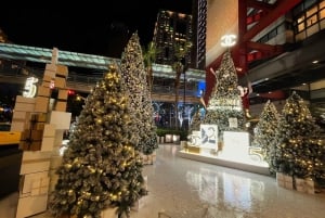 Taipei: Wandelende kerstfotografie en shoppingtour