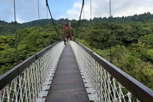 Taipei: Yanmingshan walking tour - Qingtiangang Grassland