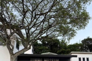 Taipeh: Tagestour zu den Museen Yehliu, Jinshan und Juming