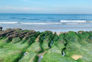 Taipeh: Tagestour zu den Museen Yehliu, Jinshan und Juming