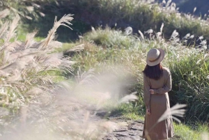 Taipei's Backyard - Yangmingshan National Park Day Tour