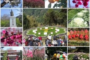 Taipei's Backyard - Yangmingshan National Park Day Tour