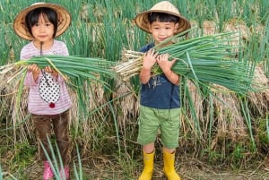 Taiwan: tour privato di 10 giorni con hotel a 5 stelle