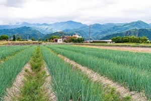 Taiwan: tour privato di 10 giorni con hotel a 5 stelle