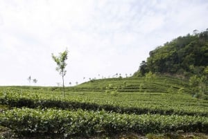 Thousand Island Lake and Pinglin Tea Plantation from Taipei