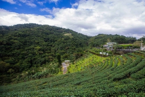 Desde Taipei: Visita Privada al Lago de las Mil Islas y al Museo del Té