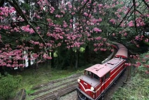 Wonderful Taiwan: A Six-Day Round-the-Island Trip