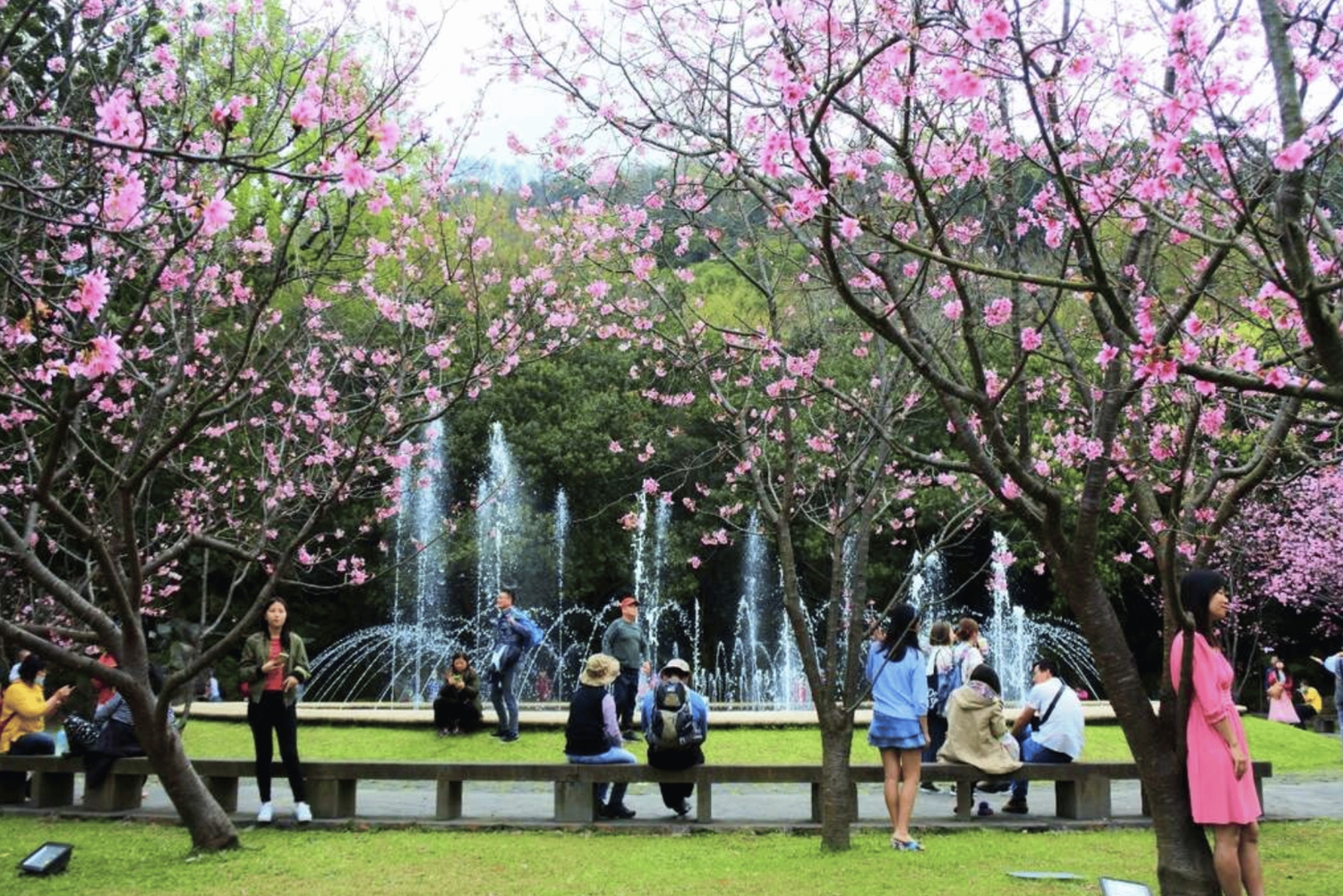 Yangmingshan e Beitou: tour di 1 giorno tra le meraviglie geotermiche