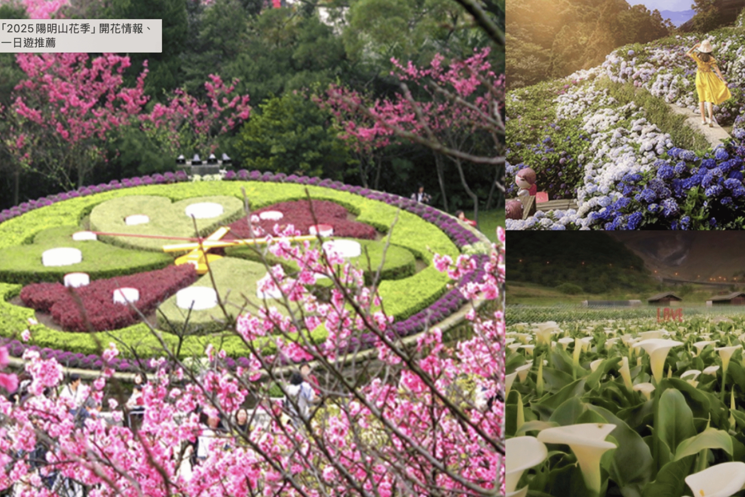 Yangmingshan e Beitou: tour di 1 giorno tra le meraviglie geotermiche