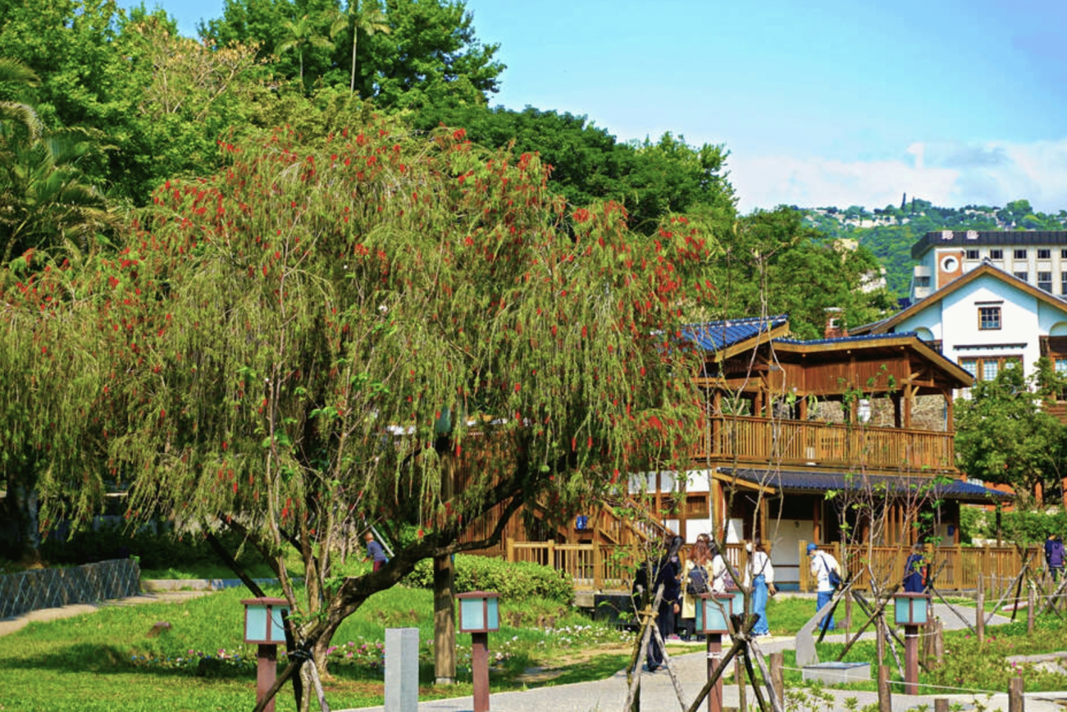 Yangmingshan e Beitou: tour di 1 giorno tra le meraviglie geotermiche