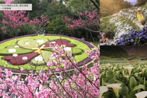 Yangmingshan e Beitou: tour di 1 giorno tra le meraviglie geotermiche