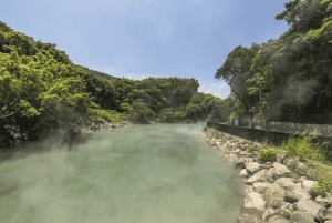 Yangmingshan e Beitou: tour di 1 giorno tra le meraviglie geotermiche