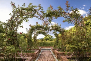 Yangmingshan e Beitou: tour di 1 giorno tra le meraviglie geotermiche