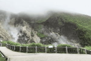 Yangmingshan e Beitou: tour di 1 giorno tra le meraviglie geotermiche