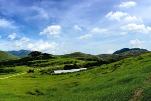 Taipei: Yangmingshan National Park Half-Day Tour