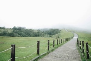 Taipei: Yangmingshan National Park Half-Day Tour