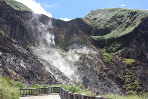 Yangmingshan National Park & Hot-Spring Tour
