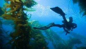 Kilimanjaro Dome (Photo Credit: Lizzie Halloran)