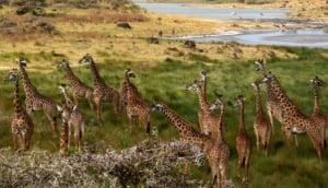 Arusha National Park