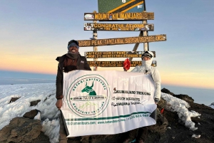 #1. Melhor Rota Machame do Kilimanjaro de 7 dias