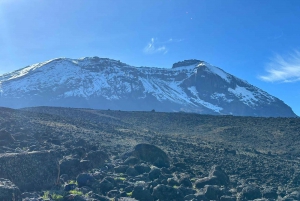#1. Melhor Rota Machame do Kilimanjaro de 7 dias