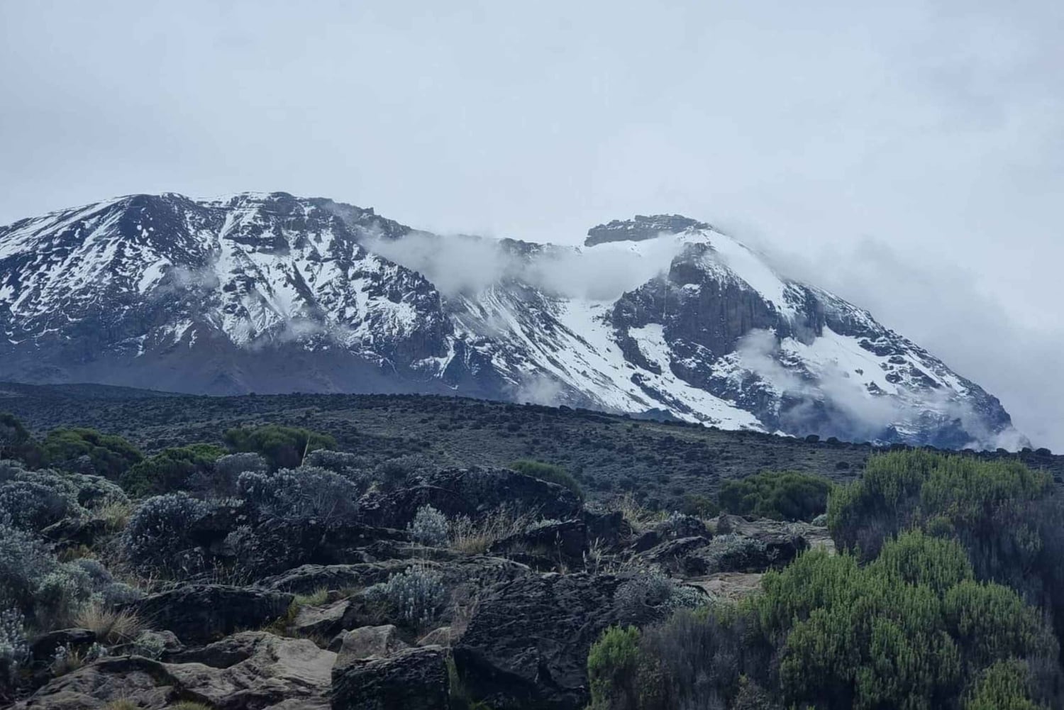 #1. Beste Kilimanjaro Tageswanderung Marangu Route-ISMANI TOURS