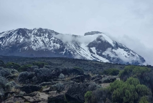 #1. Beste Kilimanjaro Tageswanderung Marangu Route-ISMANI TOURS