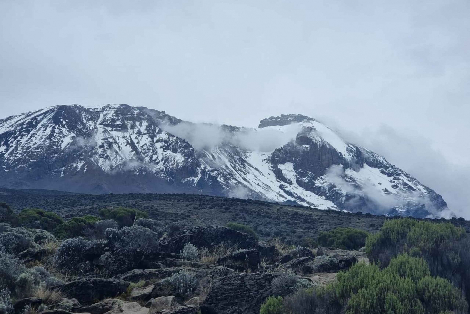 #1. Il miglior tour di escursioni di un giorno sul Kilimangiaro- ISMANI TOURS AND SAFARIS