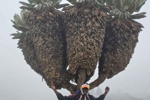 №1. Лучший дневной поход на Килиманджаро Тур-Маршрут Мачаме-ИСМАНИ