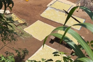 Arusha: Dagsudflugt til byen, Materuni-vandfaldet, kaffe og varme kilder