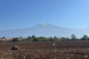 Arusha: Dagsudflugt til byen, Materuni-vandfaldet, kaffe og varme kilder