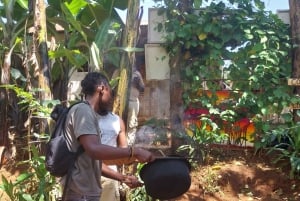 Arusha: Dagsudflugt til byen, Materuni-vandfaldet, kaffe og varme kilder