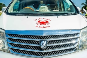 Arusha: Dagsudflugt til byen, Materuni-vandfaldet, kaffe og varme kilder