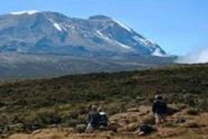 MT. KILIMANJARO: EXPERIENCE MAJESTIC OF CATHEDRAL POINT