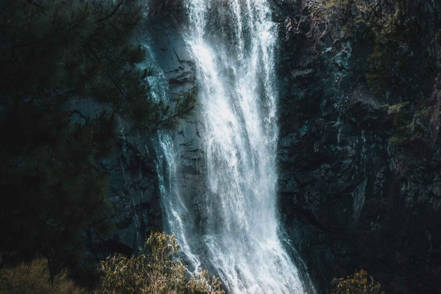 Tour di 1 giorno delle cascate di Marangu e tour culturale - Escursioni di 1 giorno