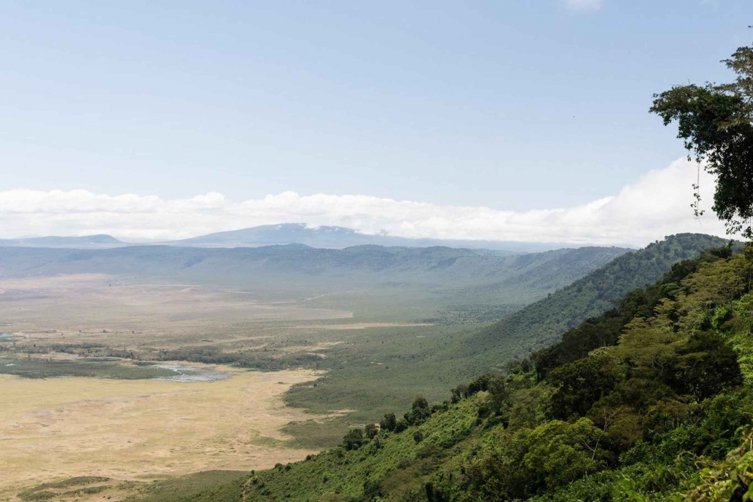 1 giorno di safari congiunto nel cratere di Ngorongoro.