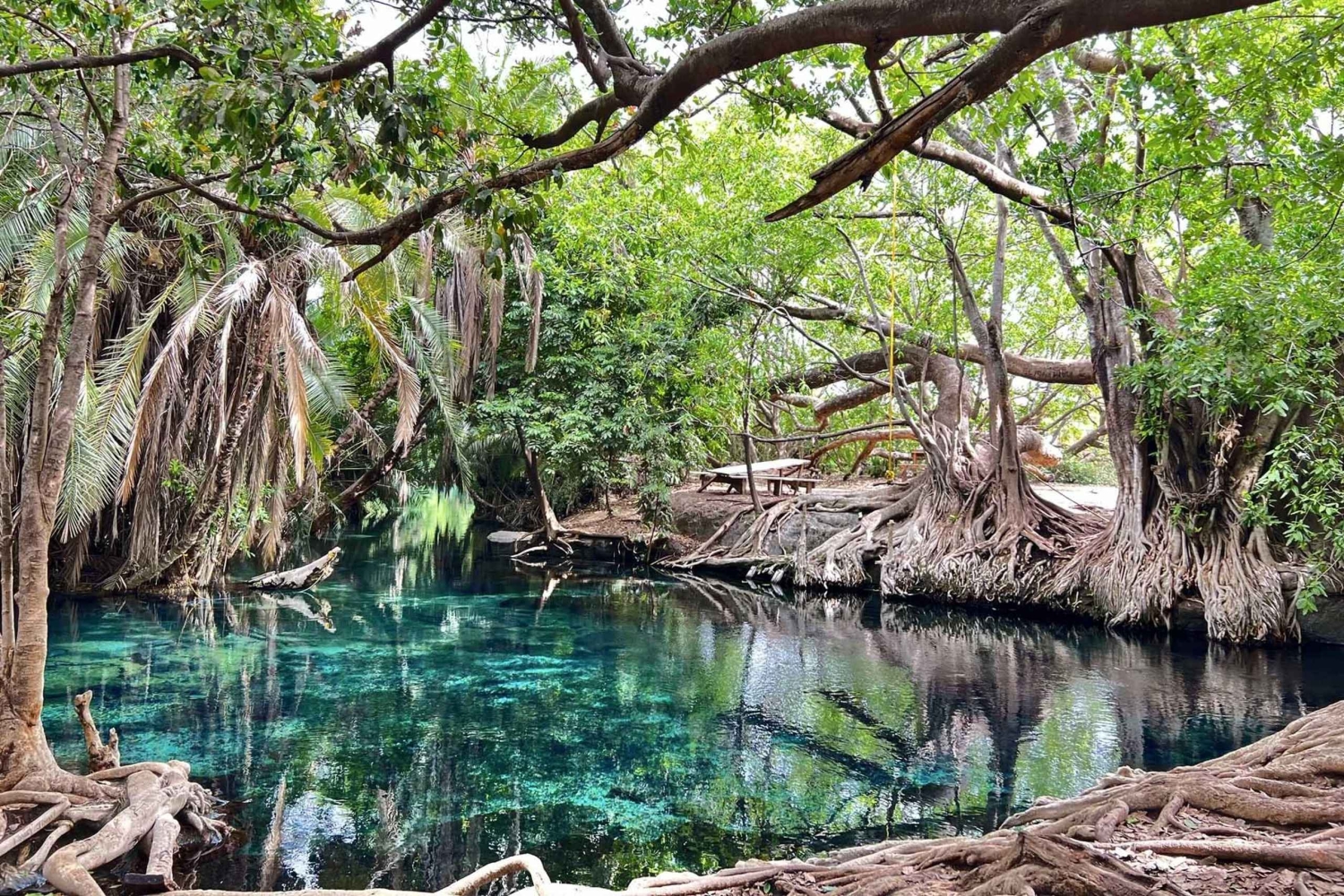 マテルニの滝＆チェムカへの1日プライベート文化ツアー