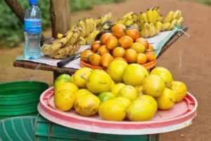 マテルニの滝＆チェムカへの1日プライベート文化ツアー