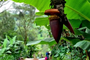 マテルニの滝＆チェムカへの1日プライベート文化ツアー