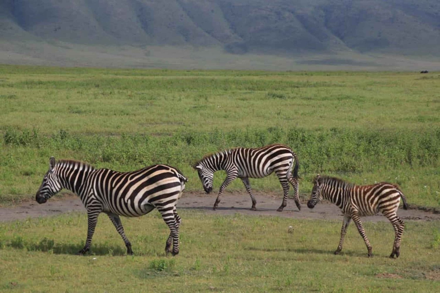 10 dias e 9 noites: o melhor dos safaris de luxo na Tanzânia