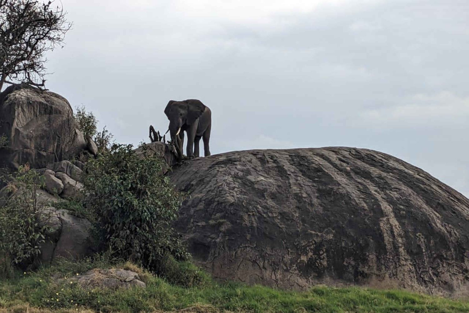 10 dias e 9 noites: o melhor dos safaris de luxo na Tanzânia